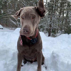 Meet your Posher, Megan